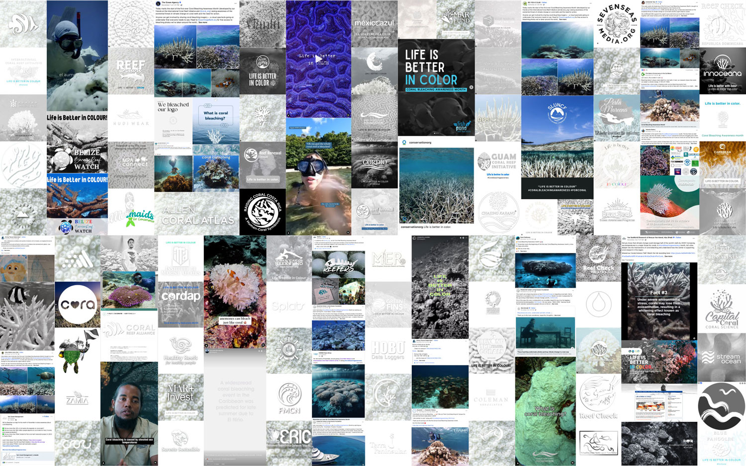 Coral Bleaching Awareness Month